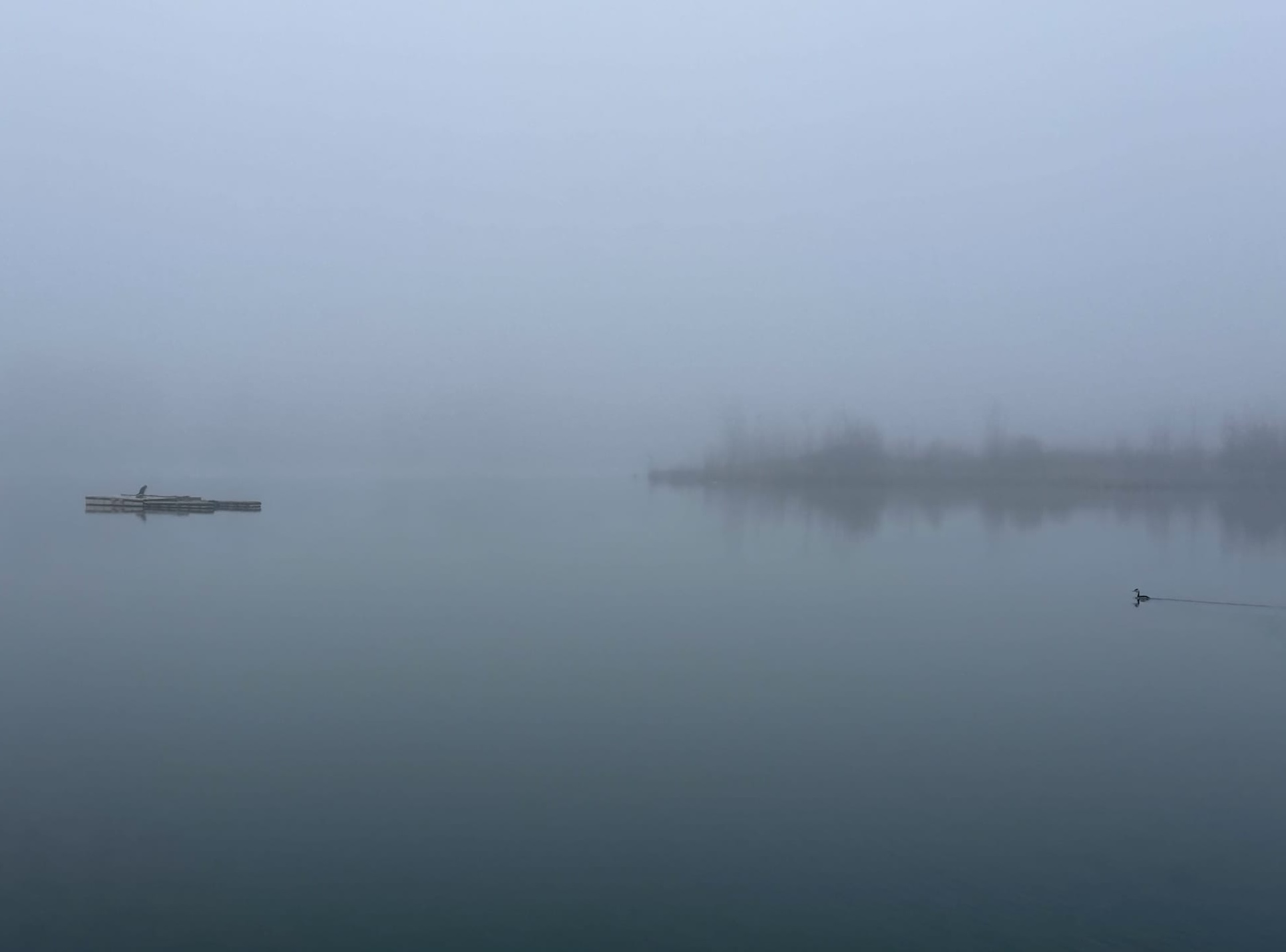 Le fantôme dans la machine